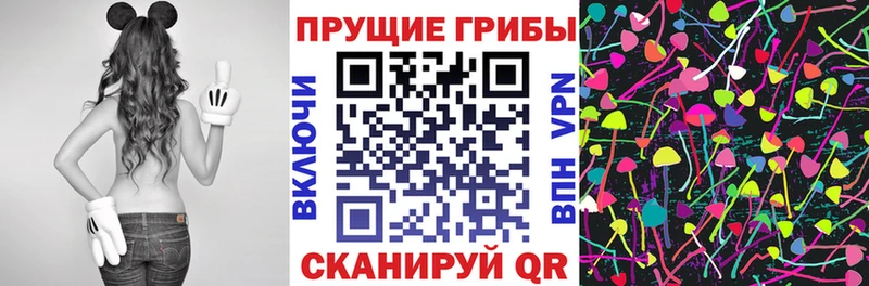 где можно купить   Волжск  OMG зеркало  Галлюциногенные грибы MAGIC MUSHROOMS 